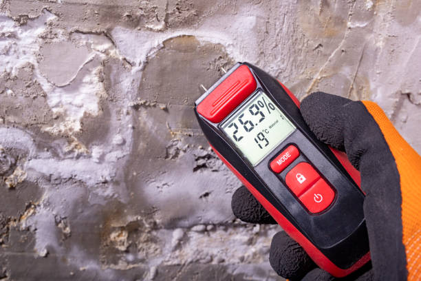 Best Mold Testing  in Eagleton Village, TN